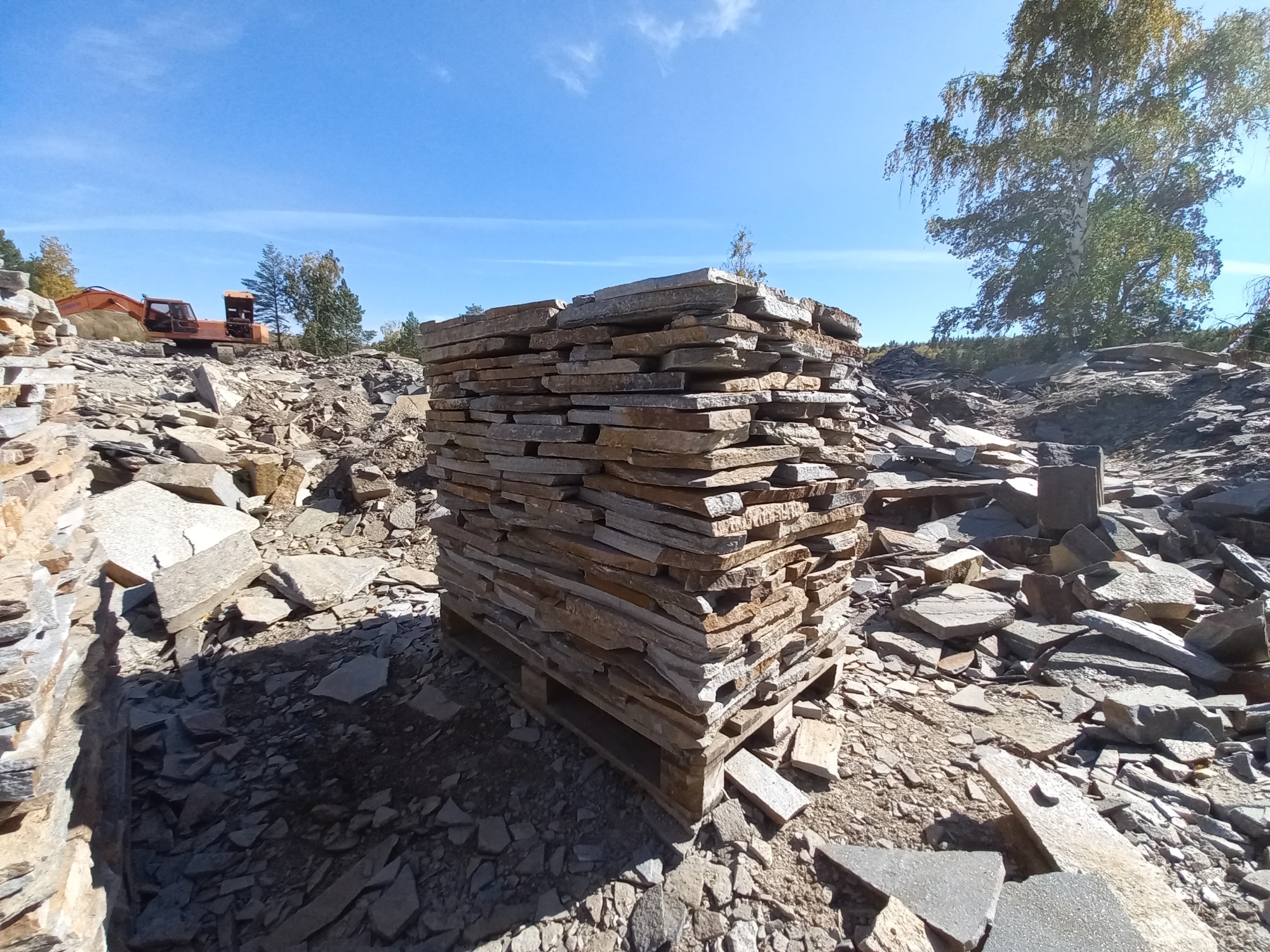 Плитняк златолит серебристый для мощения на бетон купить в Клине