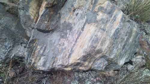 Гигантские зелёные валуны для ландшафтного дизайна весом более 5 тонн купить в Клине