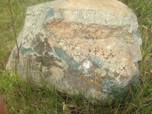 Гигантские зелёные валуны для ландшафтного дизайна весом более 5 тонн купить в Клине