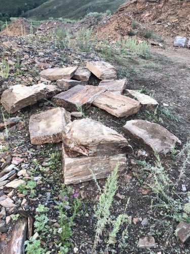 Плитняк кора дерева 50-100мм для пошаговых дорожек купить в Клине